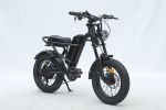 GT-0J2 New Design 16'' Mountain Electric Bicycle Out Door With Fat Tire Ebike For Kids 4.1''- 4.8''