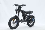 GT-0J2 New Design 16'' Mountain Electric Bicycle Out Door With Fat Tire Ebike For Kids 4.1''- 4.8''