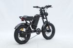 GT-0J2 New Design 16'' Mountain Electric Bicycle Out Door With Fat Tire Ebike For Kids 4.1''- 4.8''